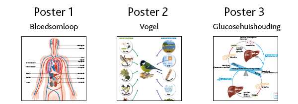 Voorbeelden Nectar posters